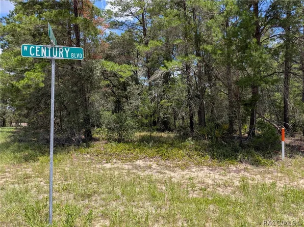 3737 W Century Blvd, Citrus Springs, FL 34433
