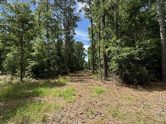 2nd image of 34-D Harris Lane