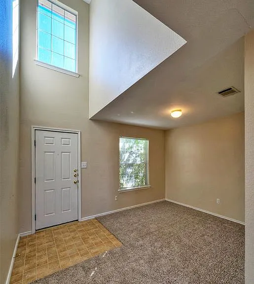 257 Prairie Verbena Dr — Photo 7
