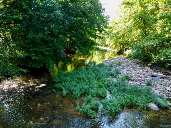 282 Hillsboro Dr, New Market, AL 35761