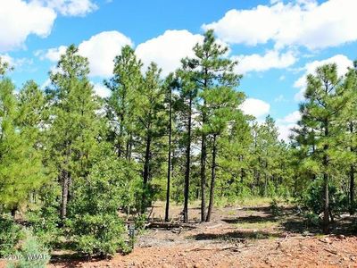 3380 Senna Ln, Show Low, AZ, 85901