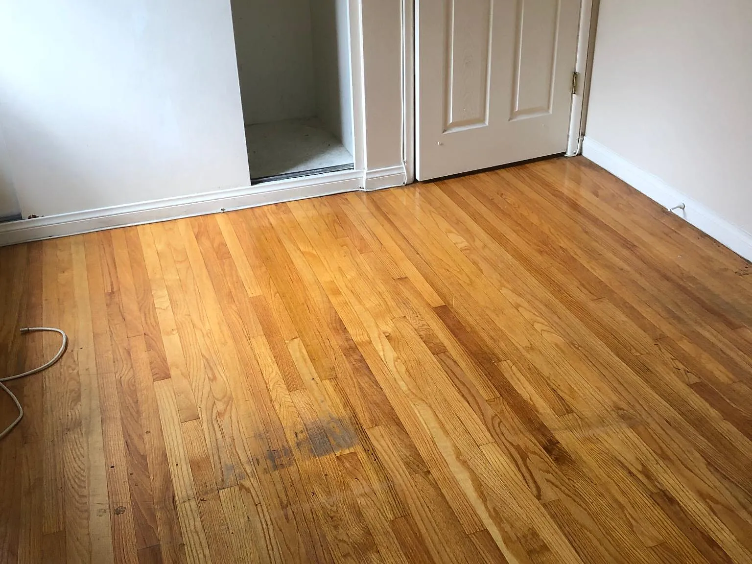 1 bed, 600 sqft, $1,545 — Photo 4