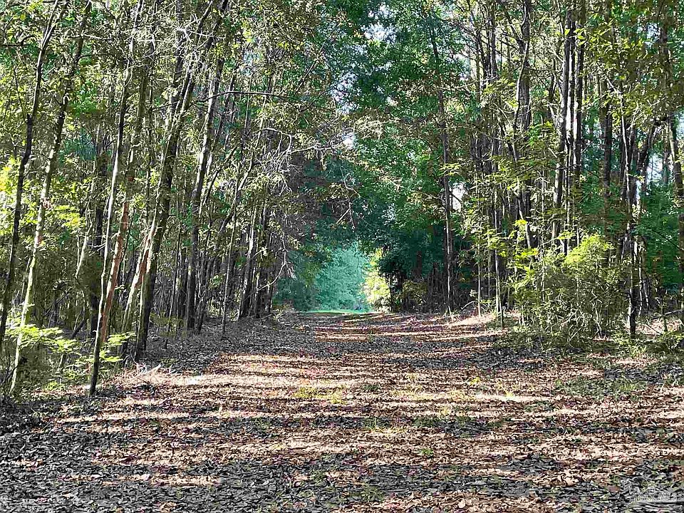 2nd image of 4180 Mart Jernigan Rd