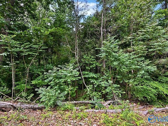 4th image of LOT 11 Mill Creek Rd