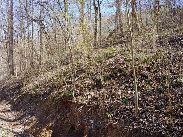 0 Birch Hollow Road Phase #9-2, Stanton, KY 40380