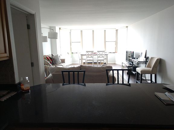4th image of 525 W Hawthorne Pl APT 1003