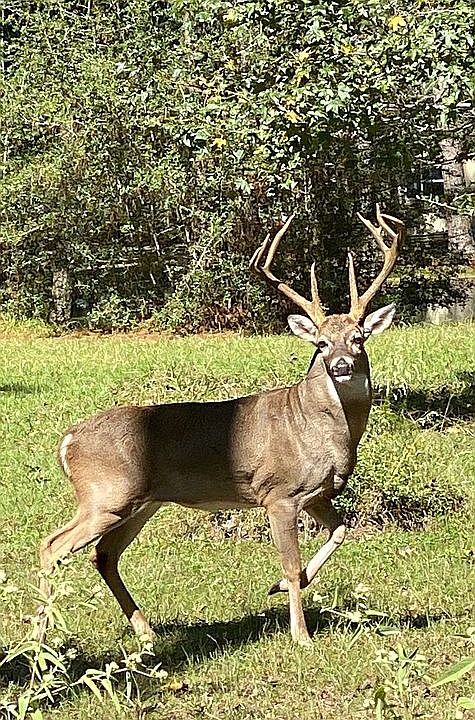 1st image of 0 Deer Run St