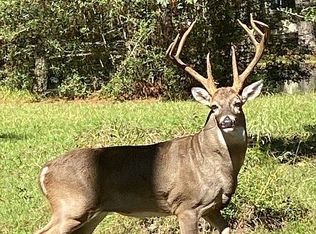 0 Deer Run St, Montgomery, TX 77356