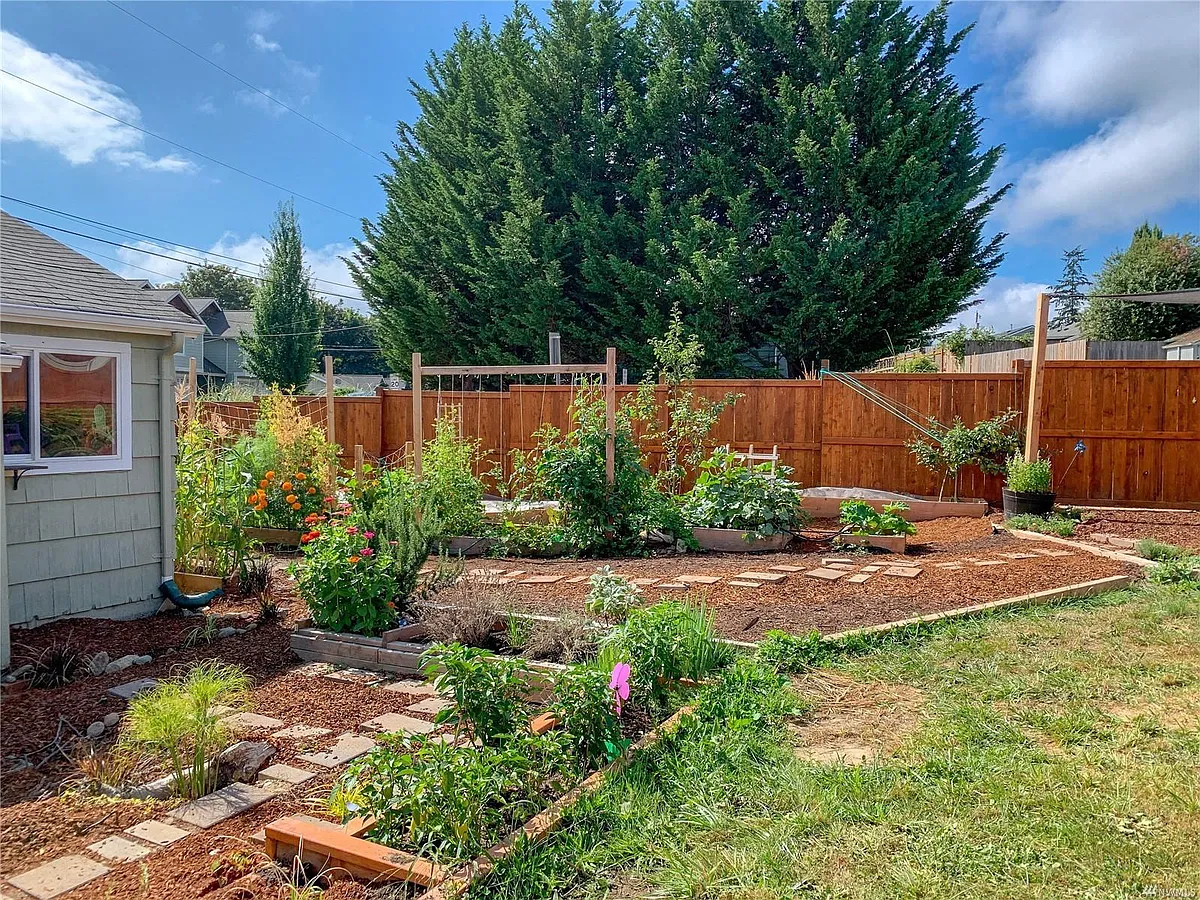 the backyard is landscaped by the owner. - 1727 Houston Ave