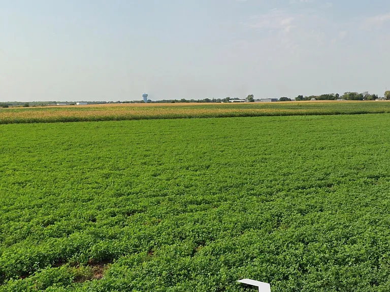 View from the front porch to enjoy country views in the city limits