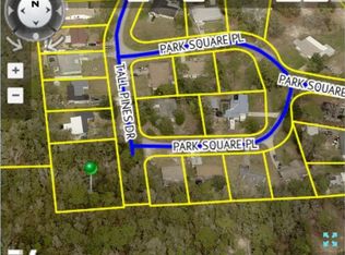 Tall Pines Dr, Dade city, FL 33523