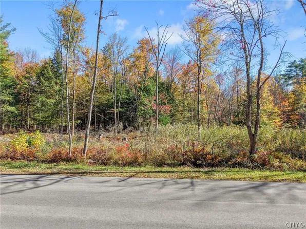 LOT 2 Martin Rd Lot 2, Cleveland, NY 13042