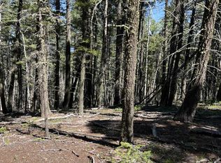 14 Back Basin Rd, Angel Fire, NM 87710