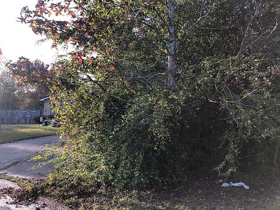 2nd image of 915 Sweetgum Dr