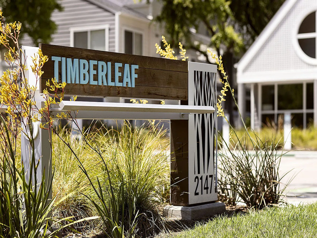 Timberleaf — Photo 1