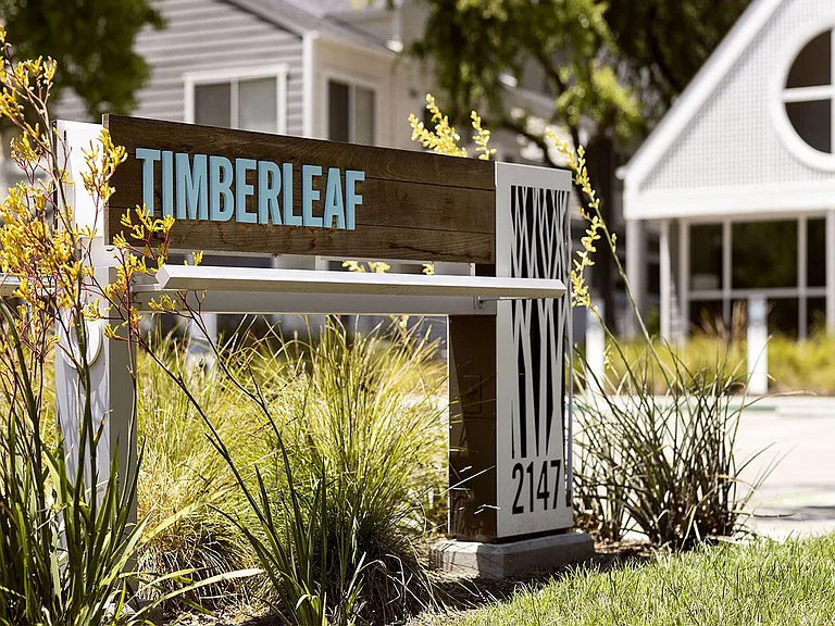 Timberleaf — Photo 1