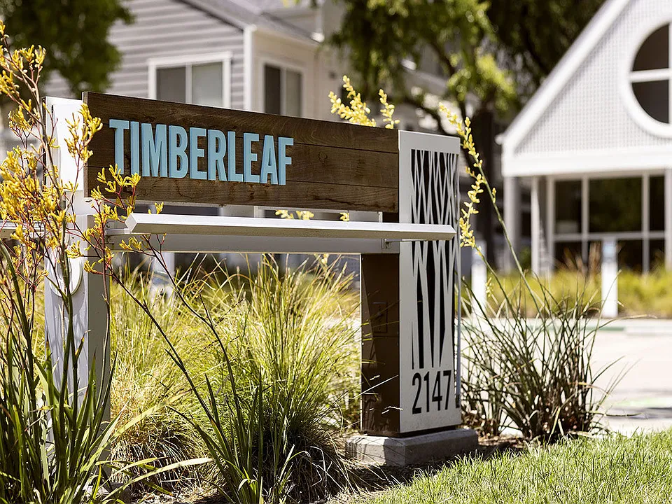 Timberleaf