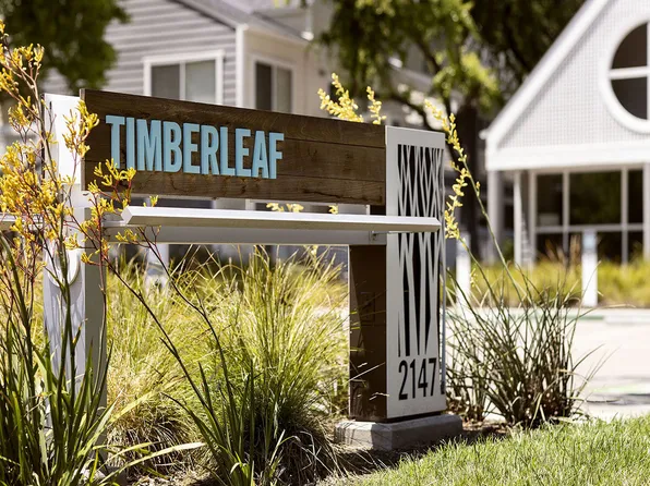 Timberleaf