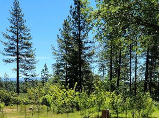 25351 Defender Grade Rd, Pioneer, CA 95666