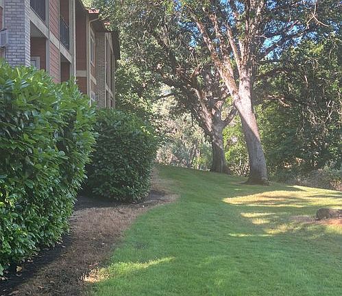 3rd image of 211 N Shasta Ave #211H