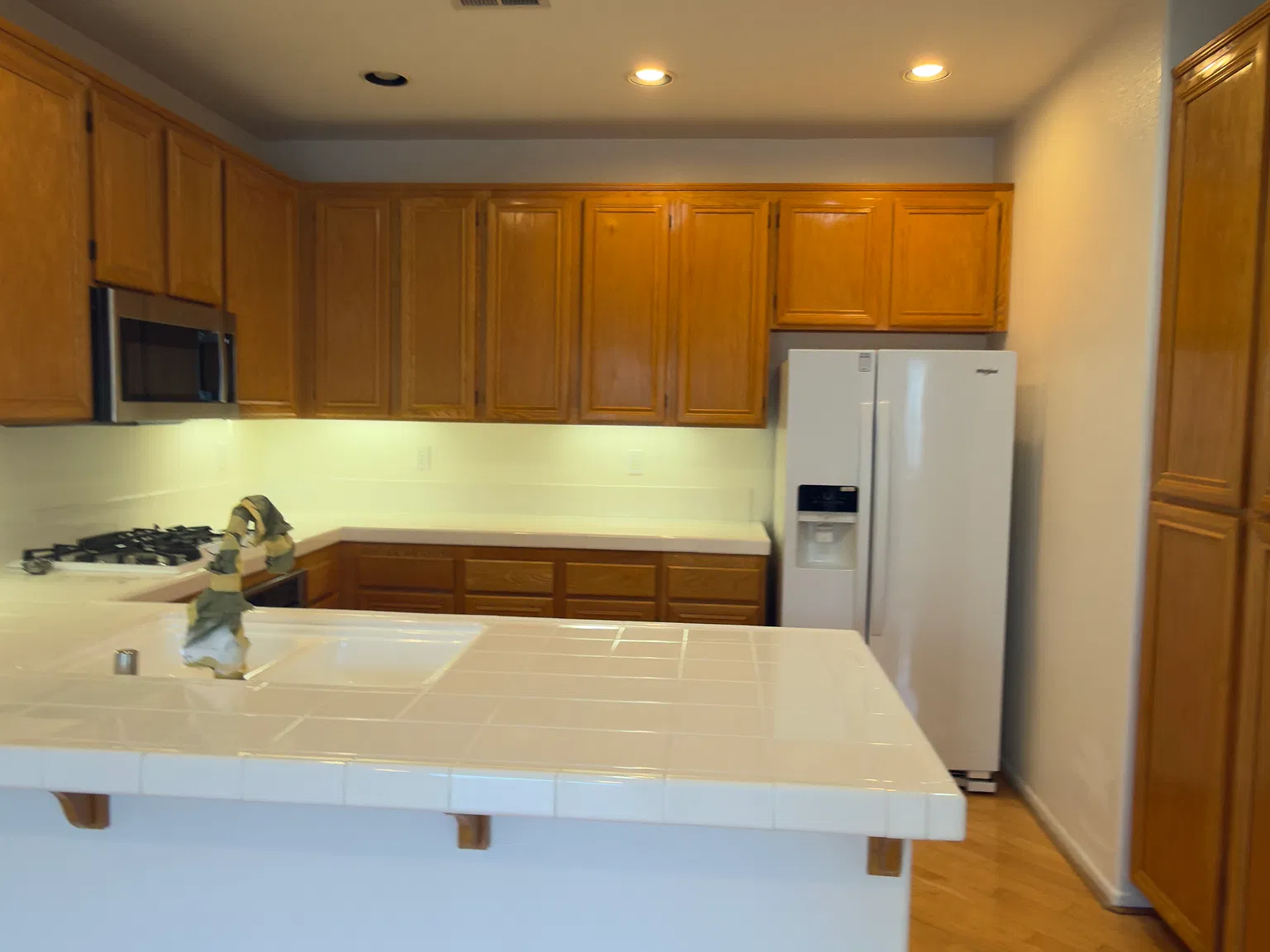 2 bed, 1163 sqft, $3,600 — Photo 4