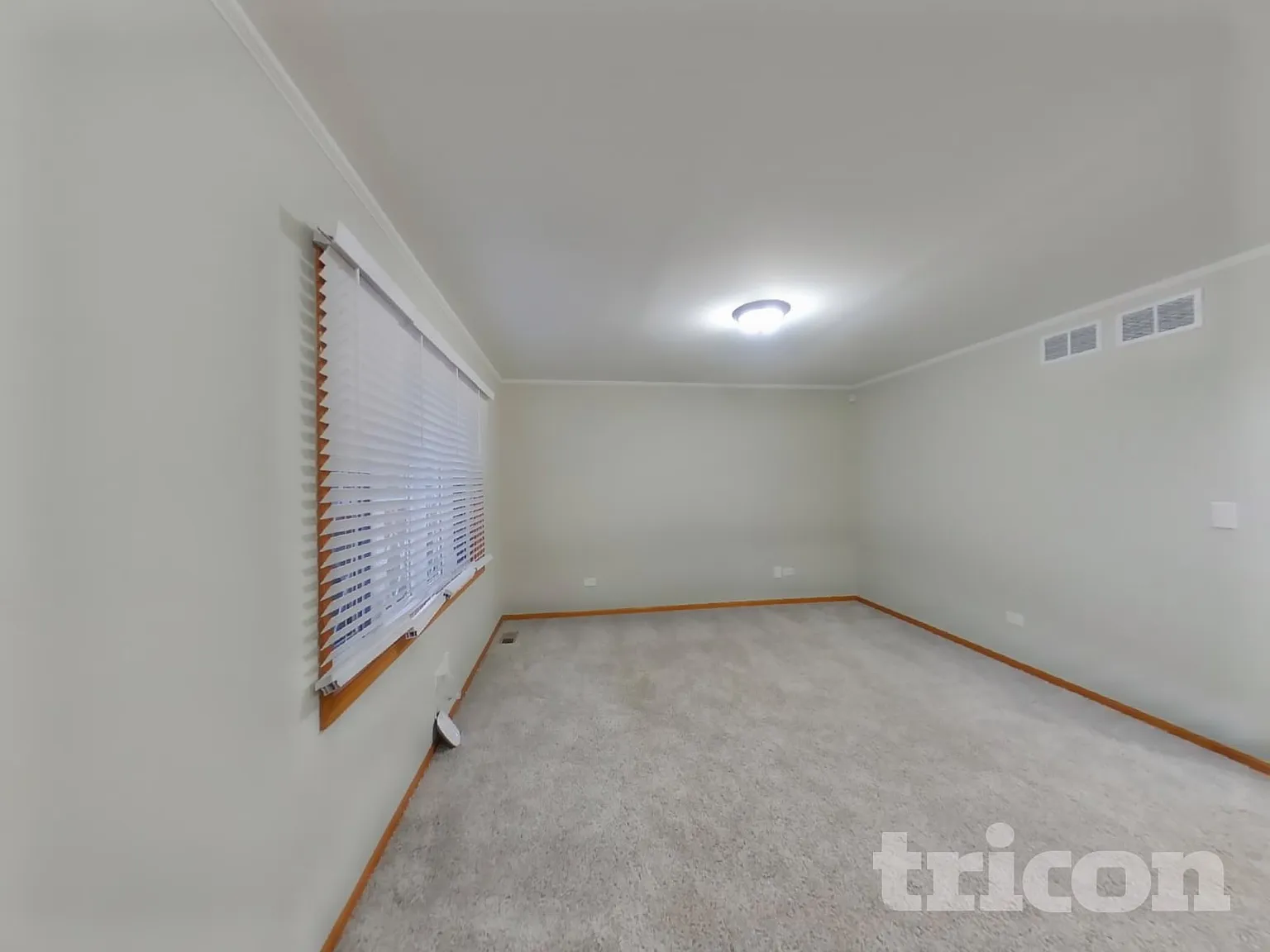 1012 N Cedar Rd New Lenox IL — Photo 2