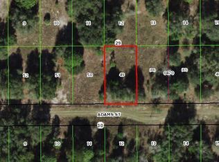 2410 Adams St, Inverness, FL 34453