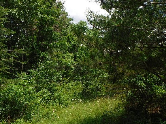 2nd image of 43.94 Acre Limerick Dr