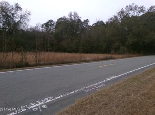 LOT 1 Ivanhoe Rd, Harrells, NC 28444