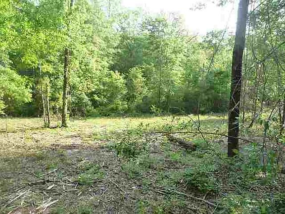 3rd image of 124 Elena Dr