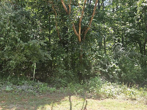 3rd image of 2 & 3 Longview Estates Dr