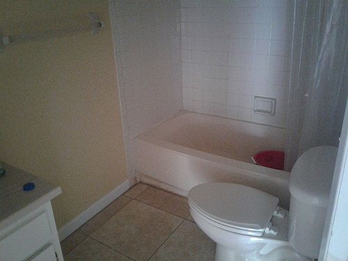 5th image of 1350 S Palmetto Ave APT 204