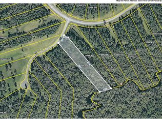 V/l 436 Seine River Ct, Kingsland, GA 31548