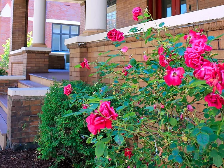 Exterior - Landscaping