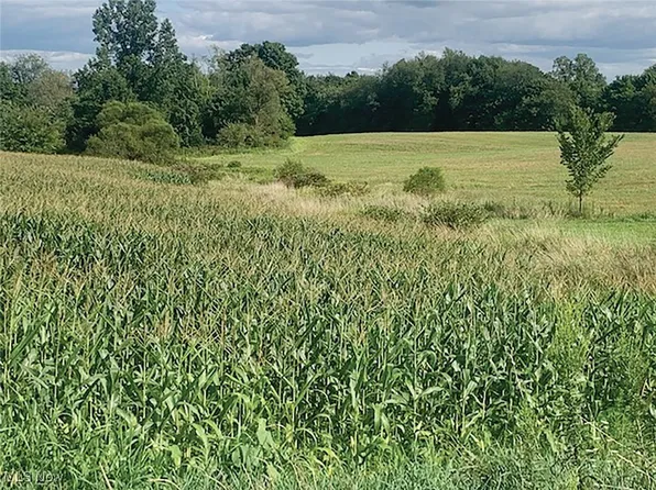 Stratton Rd, Salem, OH 44460