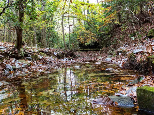 0 Spring Hill Rd #0, Nauvoo, AL 35578