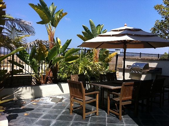 Back yard with built in BBQ