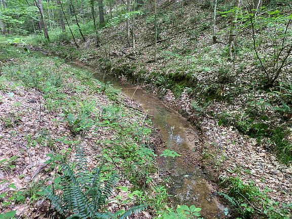 27th image of this home