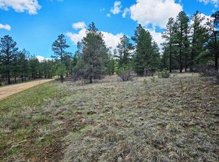 Aspen Ln #130, Weston, CO 81091
