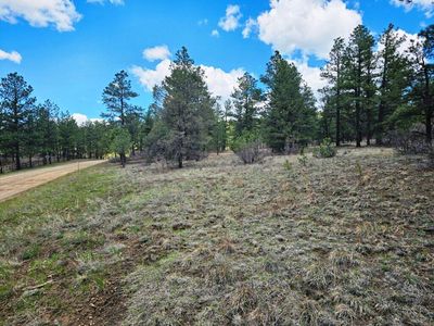 Aspen Ln #130, Weston, CO, 81091