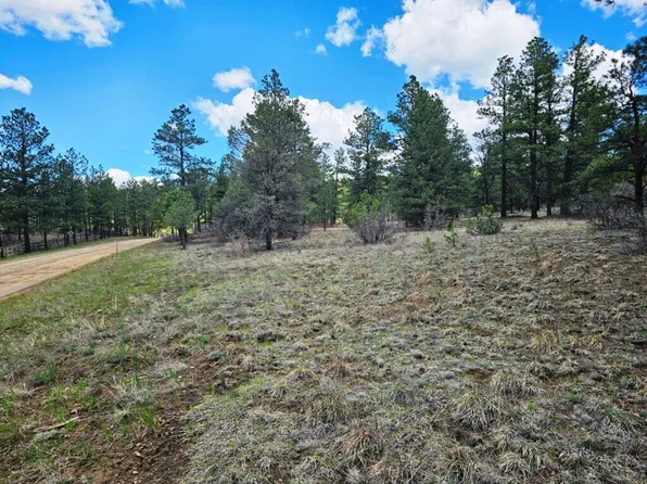 Aspen Ln #130, Weston, CO 81091