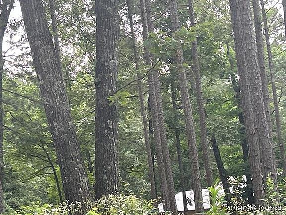 4th image of 230 Hackett Ln