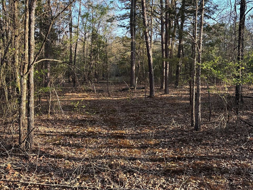 1st image of 553 Bald Eagle Rd