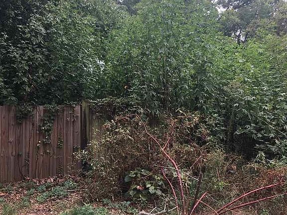 2nd image of LOT 1 Gatewood Dr