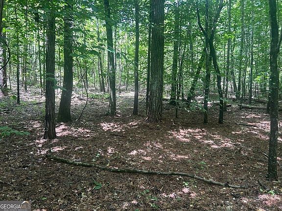 2nd image of 111 Riversong Tract 26
