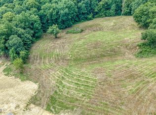 10 Strawberry Field Dr, Johnson City, TN 37604
