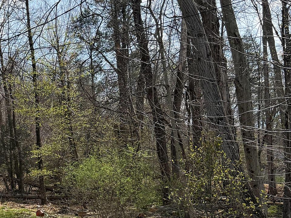 2nd image of Spring St