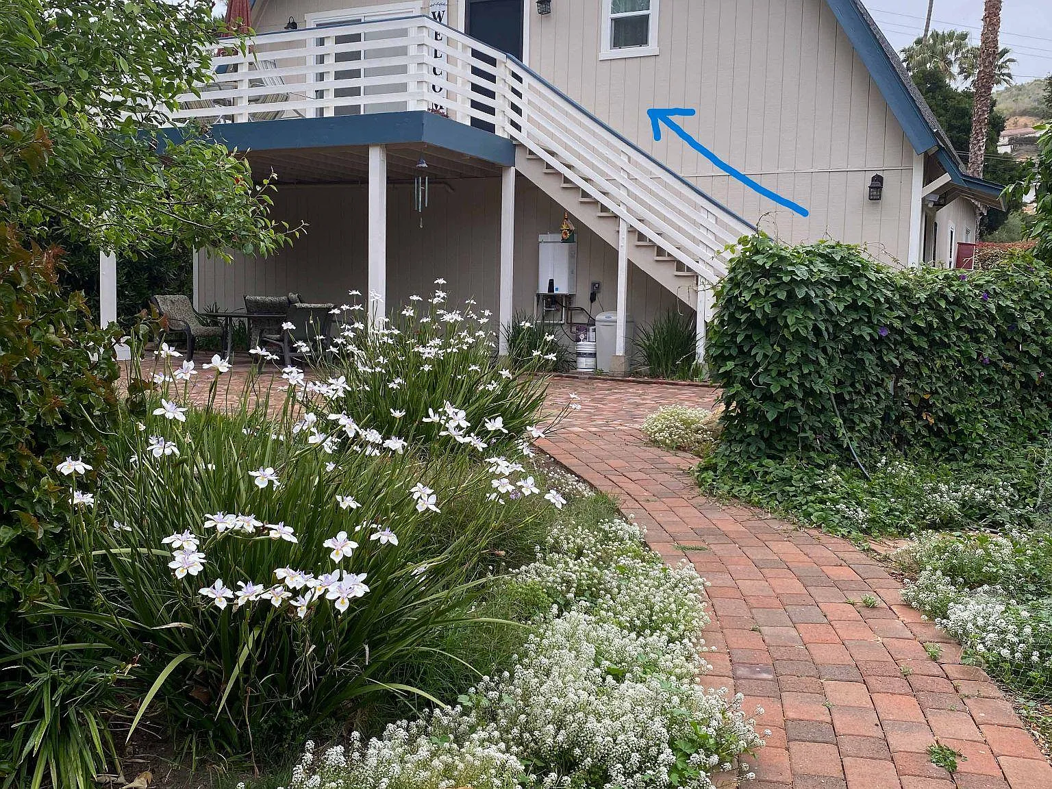 2 bed, 860 sqft, $3,500 — Photo 3