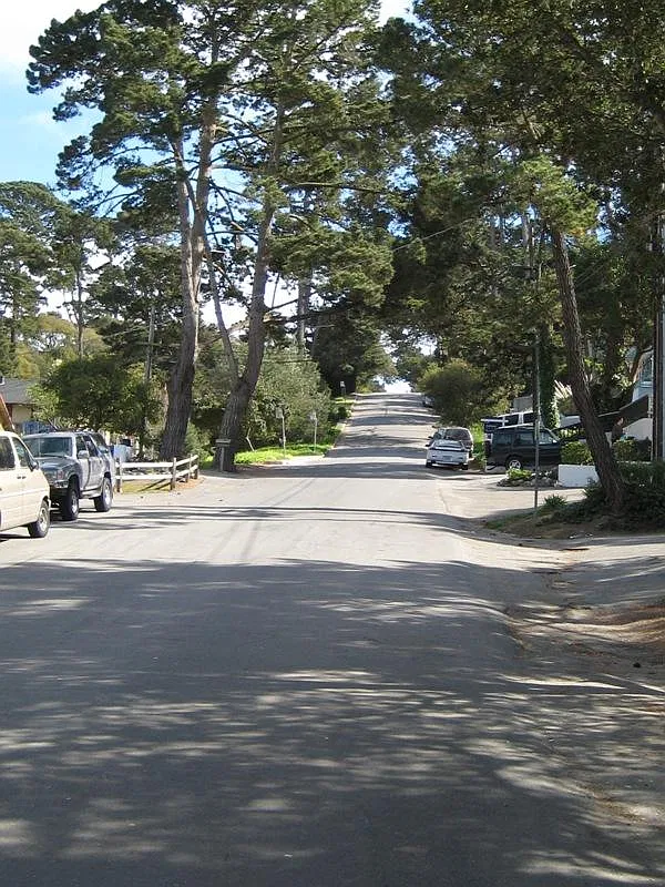 2 bed, 720 sqft, $2,450 — Photo 3
