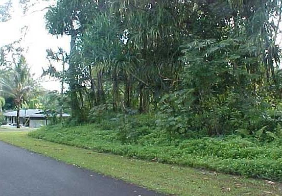 4th image of Maiii St Lot 1779